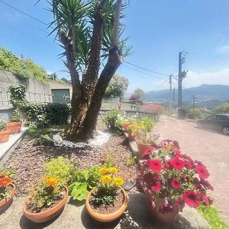 Casa Hortensias Tabaco